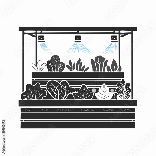 Fresh leafy greens under misting system at produce section of grocery store, providing freshness to organic vegetables and healthy food choices.