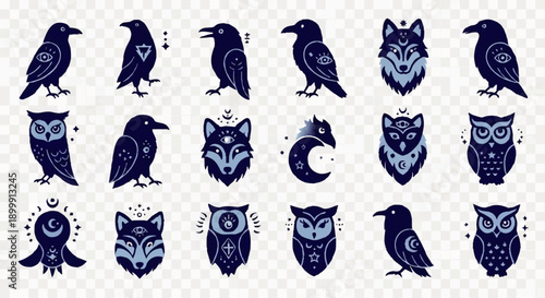 Collection of Dark Blue Bird and Owl Illustrations.