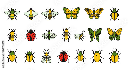 Collection of Various Insects in Different Positions.