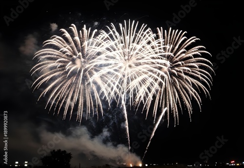 Colorful fireworks burst over a river in the dark night sky during a festive celebration