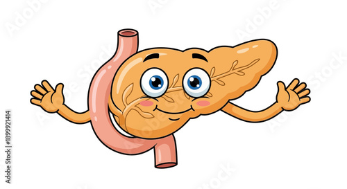 Happy Cartoon Pancreas Organ Character with Arms and Legs