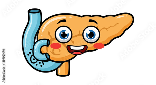 Happy Cartoon Pancreas Organ with Duodenum, Medical Illustration, Health Education