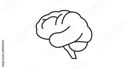 Simple black and white line art illustration of a human brain.