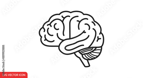 Brain Outline Icon - Human Cerebrum and Cerebellum Vector Art