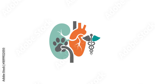 Veterinary Cardiology and Nephrology Icon: Heart, Kidney, Paw Print, Caduceus