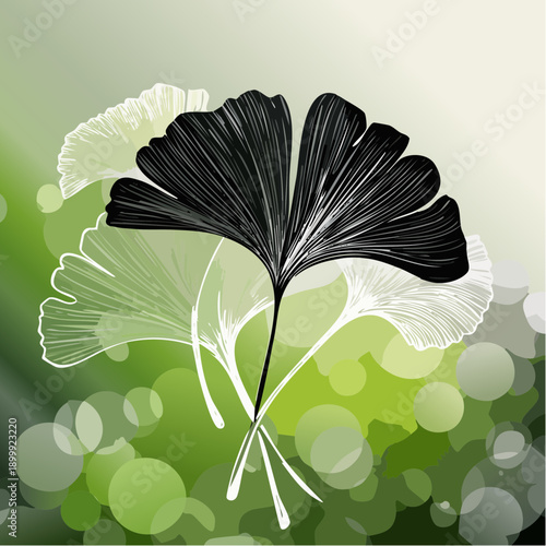 Ginkgo biloba leaves on a stem against a bright, natural, and slightly blurred green background, highlighting textures and vibrant colors