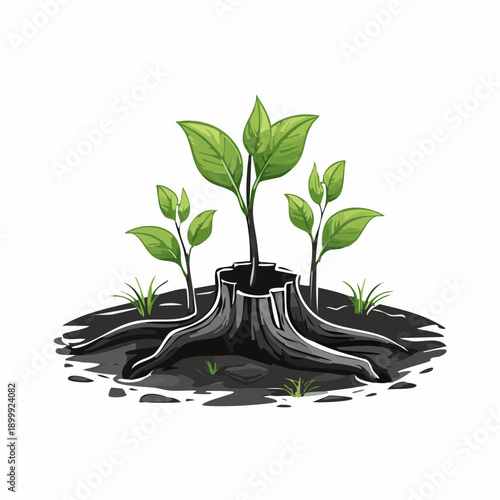 Small green sprouts emerge from the burned wood, showcasing resilient new life in nature after destruction in a close up view.