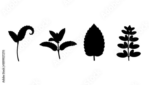 Mint Sprig Silhouette