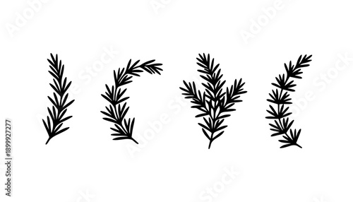 Rosemary Branch Silhouette