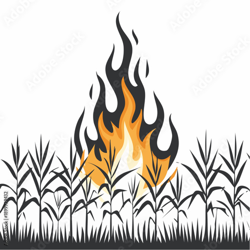 Sugar cane field engulfed in raging fire at night, creating thick smoke and bright orange flames rising from the crops