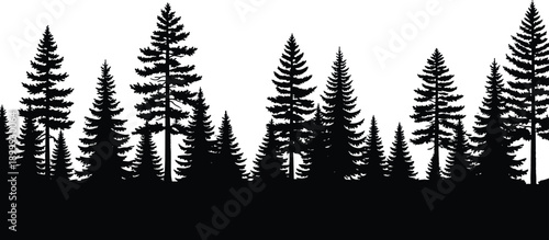 Pine forest tree silhouette landscape illustration black vector woodland scene isolated on white background for nature and outdoor design projects
