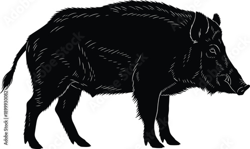 Realistic wild boar silhouette vector illustration of fierce forest pig animal, black wildlife design element isolated on white background for branding