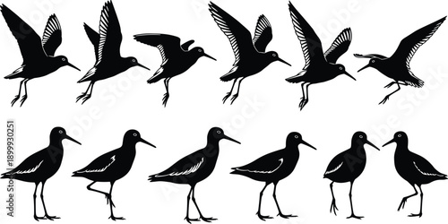 Shorebird silhouette icon set featuring flying and standing wading birds black vector collection isolated on white background for nature design projects