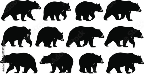 Walking bear silhouette animation sequence set with multiple poses vector icons isolated on white background for design projects branding