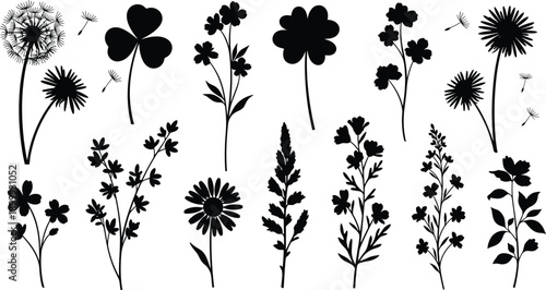 Wildflower floral silhouette set with clover dandelion daisy and meadow plants black vector collection isolated on white background