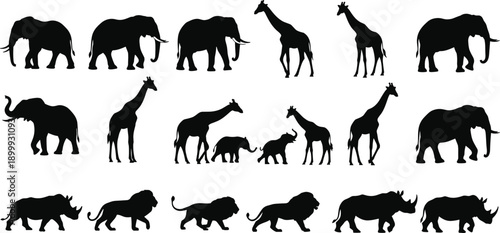 African wildlife animal silhouette icon set with elephants, giraffes, lions and rhinos, isolated on white background, vector illustration