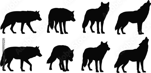 Wolf silhouette vector set of howling and walking wolves, black wildlife animal poses collection isolated on white background for design