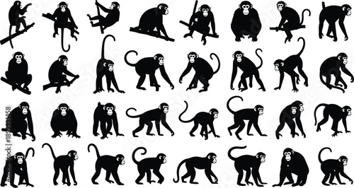 Black monkey silhouette icon set with multiple poses and actions, isolated on white background, vector illustration collection for design and branding