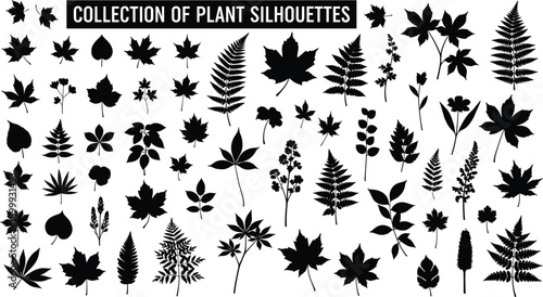 Black plant and leaf silhouette icon set with assorted botanical foliage shapes, isolated on white background, vector illustration collection