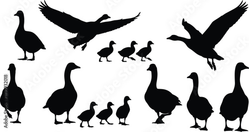Goose and gosling silhouette icon set with flying and walking geese black vector collection isolated on white background