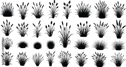 Grass and reed plant silhouette icon set featuring cattails and meadow vegetation black vector collection isolated on white background