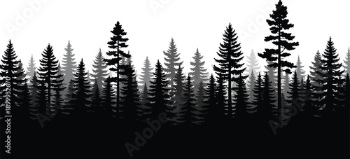 Layered pine forest tree silhouette landscape background with misty depth black and gray vector illustration isolated on white background