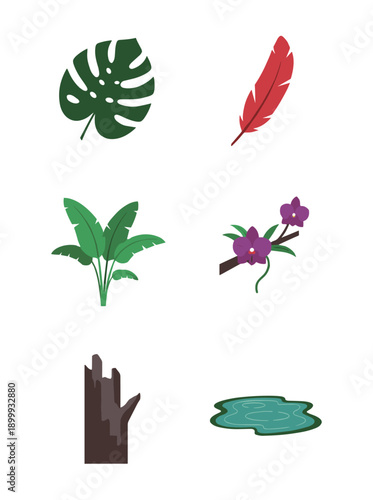 Flat Tropical Jungle Flora and Nature Elements Set Featuring Monstera Leaves Palm Trees Exotic Orchid Flowers Feathers and Forest Ponds for Design