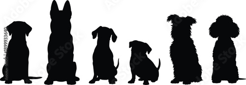 Sitting dog silhouettes set with different canine poses and breeds, black pet animal figures isolated on white background