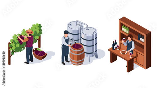 Isometric winery scenes: harvesting grapes, wine making, and tasting