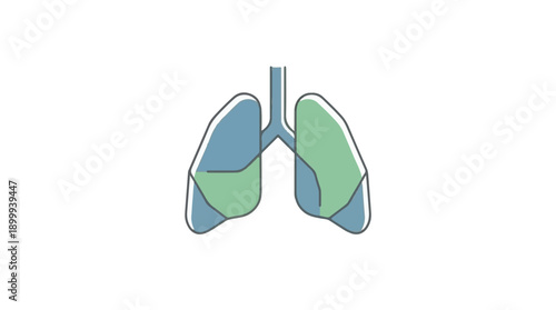 Stylized Minimalist Human Lungs Diagram - Anatomy Illustration
