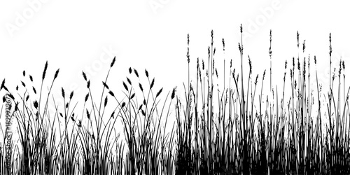 Whispers of the Wild: Vintage Vertical Border with Tall Grass and Patchy Sky