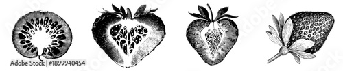 Cross-sectional artistry: Vintage botanical sketch of a strawberry's inner beauty