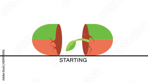 Starting Growth Concept: Seed cracking open to release green sprout, symbolizing new life, business launch, fresh start, emergence, and opportunity illustration.