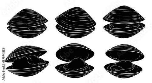 Vector silhouette illustrations of shells in various poses, including closed shells, slightly open shells, and open shells revealing their inner shape.