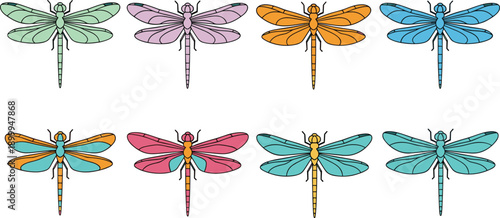 Colorful dragonfly illustration set, insect collection, symmetrical wings, nature design elements, flat vector icons