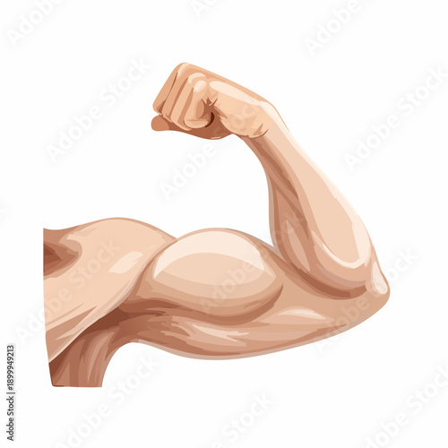 Close Up of a Flexed Biceps Muscle on a White Background Illustrating Strength and Fitness