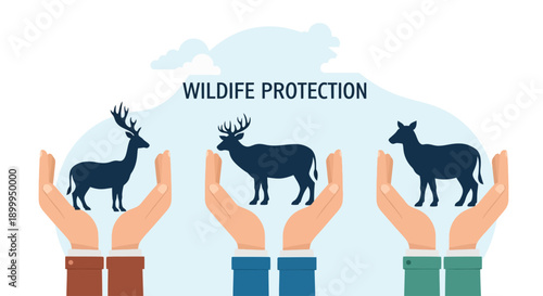 Protecting world wildlife on a sunny day with hands holding animals