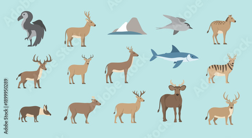 Wildlife from around the world thriving on a sunny day