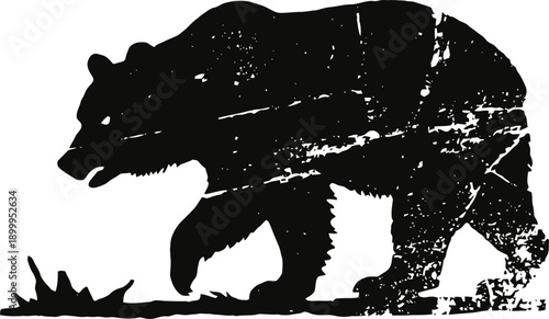 grizzly bear silhouette with textured distressed effect walking on rough terrain