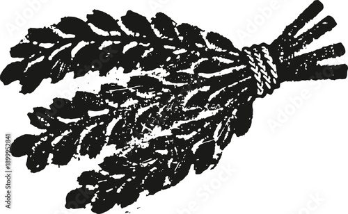 Bundle of dried lavender tied with string, vintage botanical herb illustration