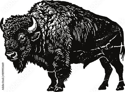 Detailed black bison illustration with textured fur and strong muscular body in vintage