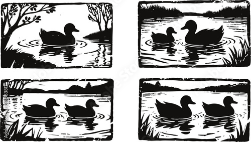 Black and white duck and duckling silhouettes swimming on pond water in nature scenes