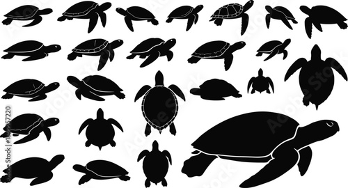 Sea turtle silhouette set with marine reptiles swimming poses, ocean wildlife animal illustration vector collection