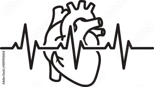 Minimal line art human heart with ECG heartbeat waveform illustrating cardiology, medical monitoring, healthcare technology, and cardiovascular health concept