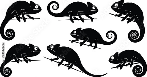 Chameleon silhouette set with reptile lizard poses on branches, wildlife animal illustration vector collection design