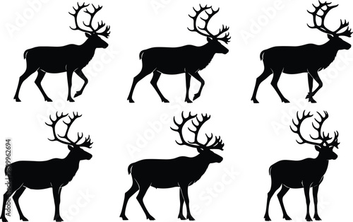 Deer silhouette set with stag antlers, wildlife animal poses, walking standing positions, nature illustration vector