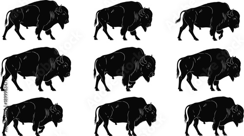 Buffalo silhouette set with bison animals walking standing poses, wildlife mammal nature vector illustration collection