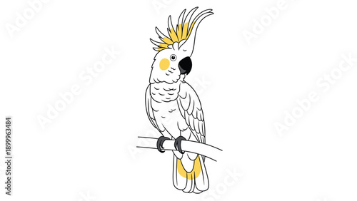 Detailed drawing of a white cockatoo parrot with a yellow crest and cheeks perched calmly on a wooden branch against a white background.
