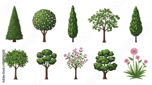 Collection of various types of green trees and blooming bushes with pink and white flowers isolated on a white background.