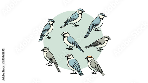 Circle of nine different species of small songbirds shown in profile with varying feather patterns and colors for ornithology-themed designs.